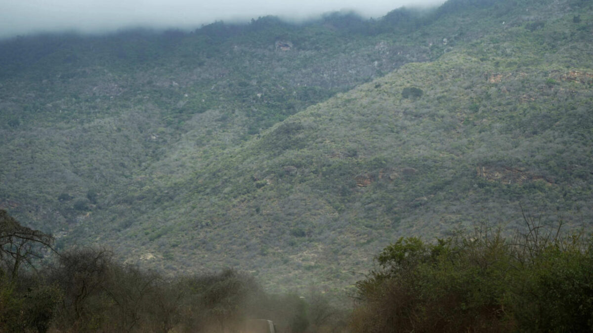 Au Kenya, l&rsquo;agroforesterie et l&rsquo;apiculture tracent la voie d&rsquo;une conservation rentable