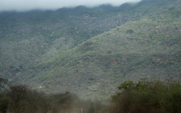 Au Kenya, l&rsquo;agroforesterie et l&rsquo;apiculture tracent la voie d&rsquo;une conservation rentable