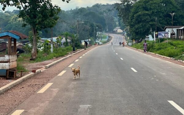 Centrafrique : le démantèlement des barrières illégales, un tournant pour la liberté de circulation régionale