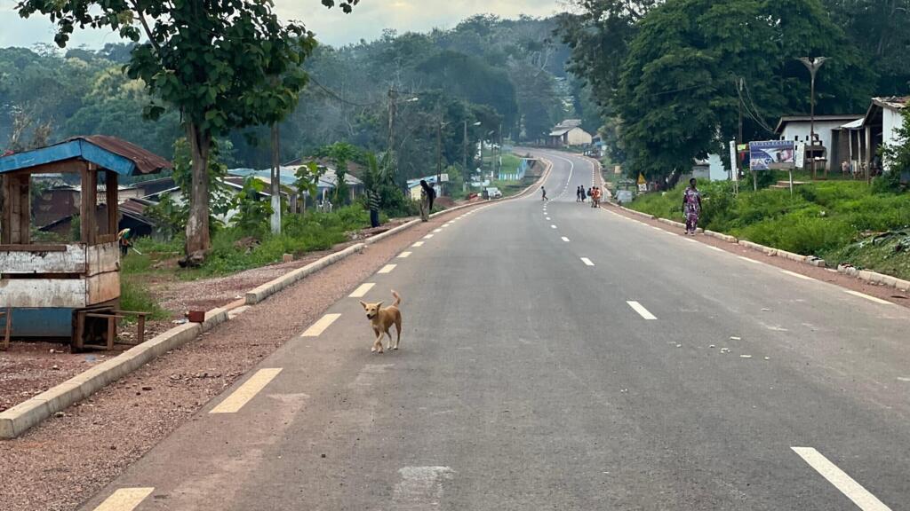 Centrafrique : le démantèlement des barrières illégales, un tournant pour la liberté de circulation régionale