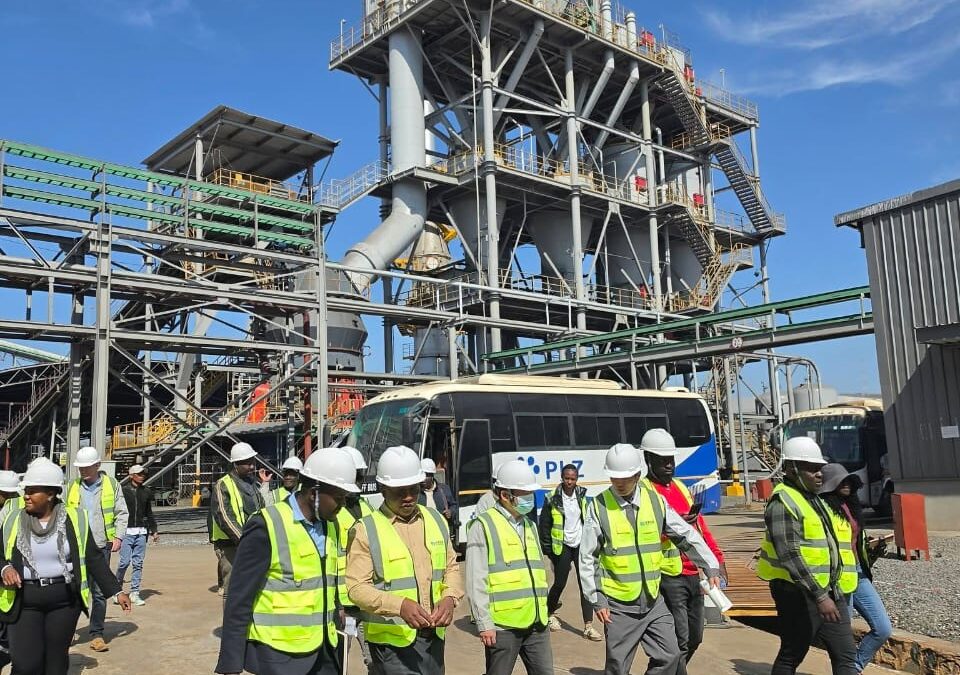 Zimbabwe : le lithium au cœur d&rsquo;une stratégie industrielle africaine, avec la mise en service d&rsquo;une usine à 400 millions USD