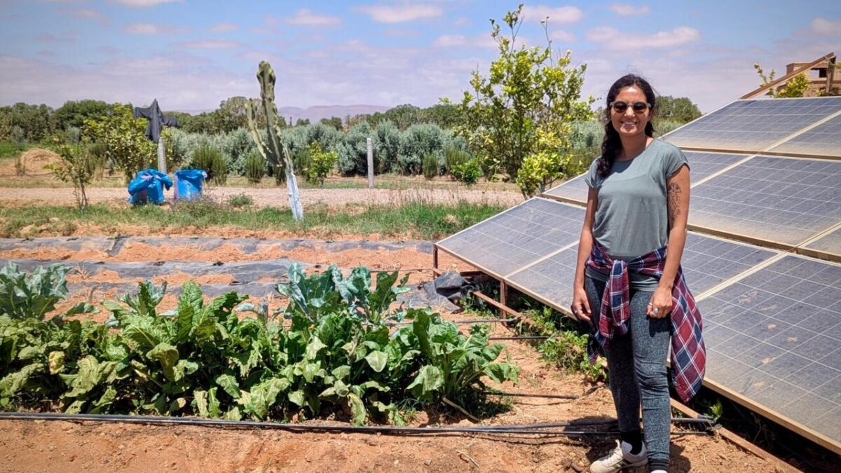Au Maroc, Sand to Green transforme les sols dégradés en terres productives