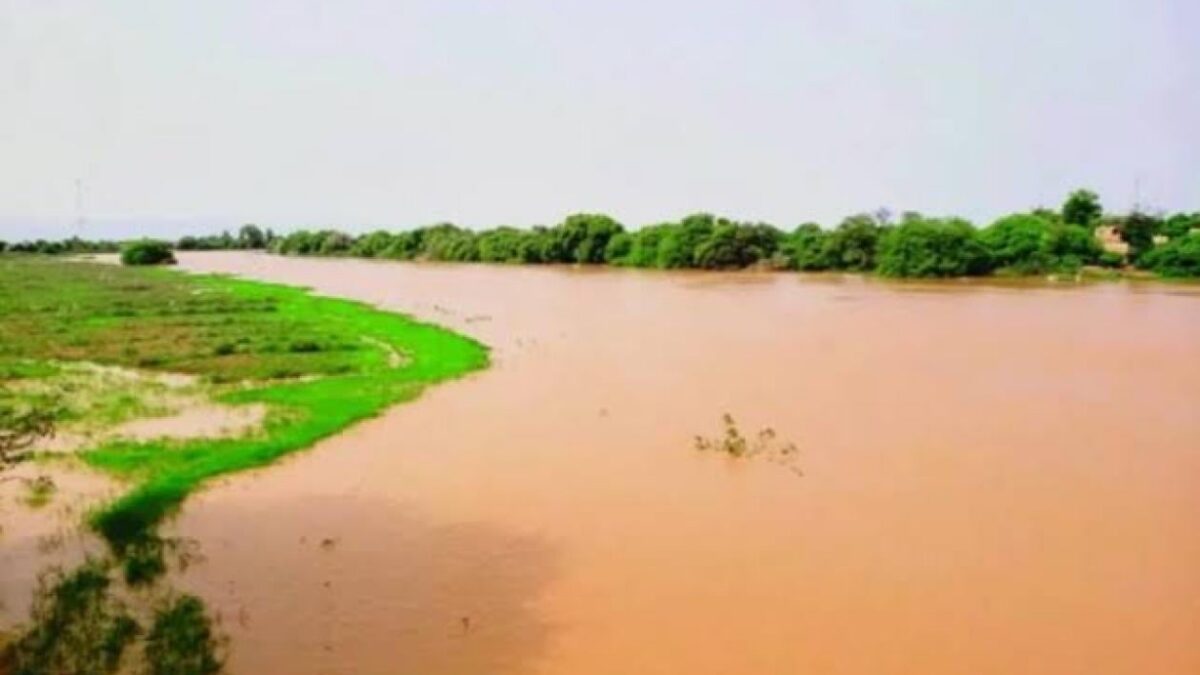 Fleuve Sénégal en crue : la région de Podor face aux défis de la mousson, enjeux régionaux en vue