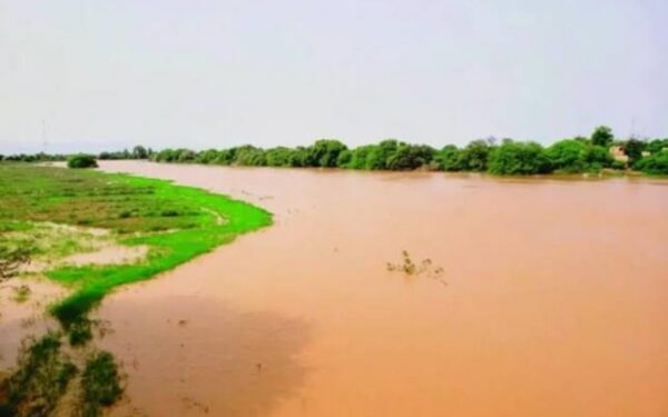 Fleuve Sénégal en crue : la région de Podor face aux défis de la mousson, enjeux régionaux en vue