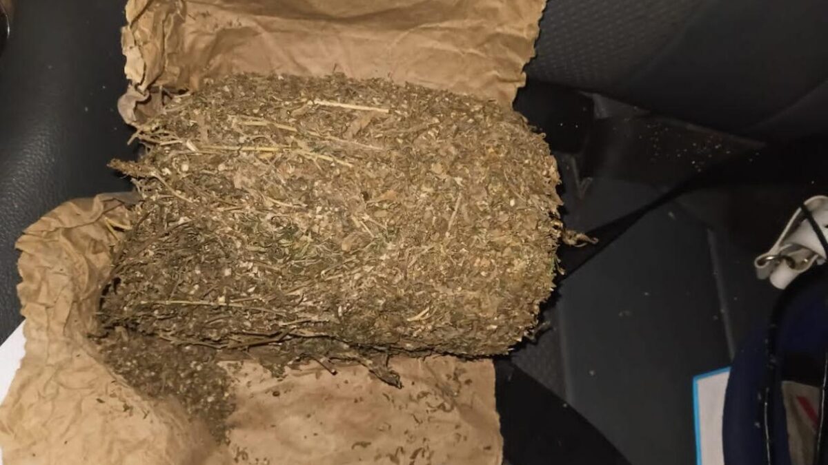 Sénégal : La lutte contre la culture illicite du chanvre s&rsquo;intensifie dans la région de Kaolack