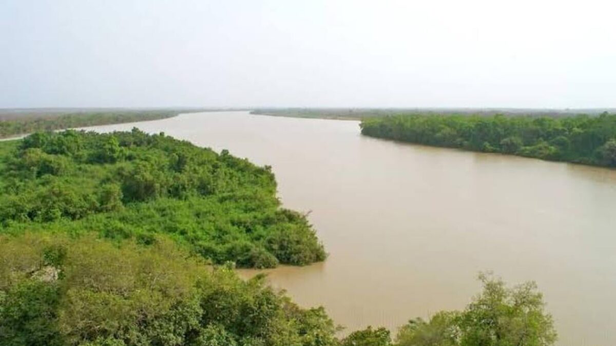 Fleuve Gambie : la surveillance hydraulique rassure sur les risques de crue en Afrique de l&rsquo;Ouest