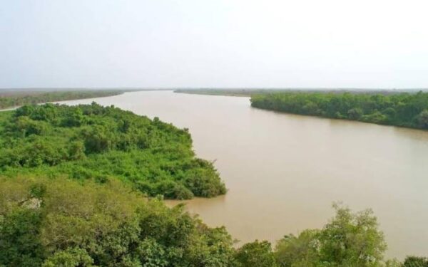 Fleuve Gambie : la surveillance hydraulique rassure sur les risques de crue en Afrique de l&rsquo;Ouest