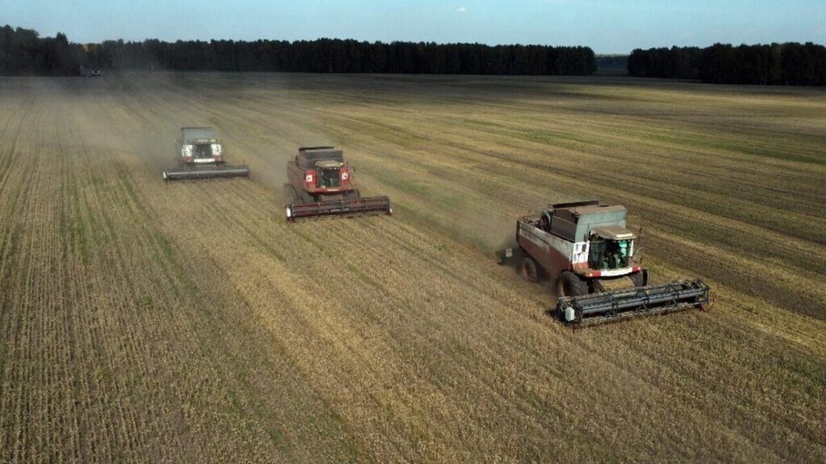 Céréales russes : comment l&rsquo;Afrique devient dépendante d&rsquo;un seul fournisseur