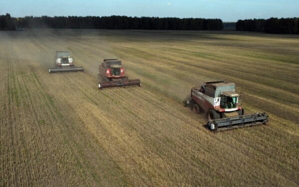 Céréales russes : comment l&rsquo;Afrique devient dépendante d&rsquo;un seul fournisseur