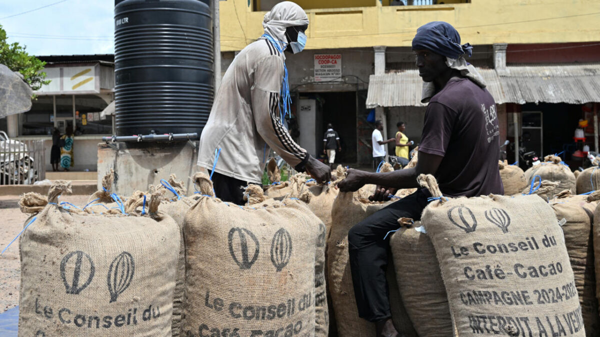 Cacao en Côte d&rsquo;Ivoire : le Conseil café-cacao ferme le robinet, le secteur crie à l&rsquo;opacité