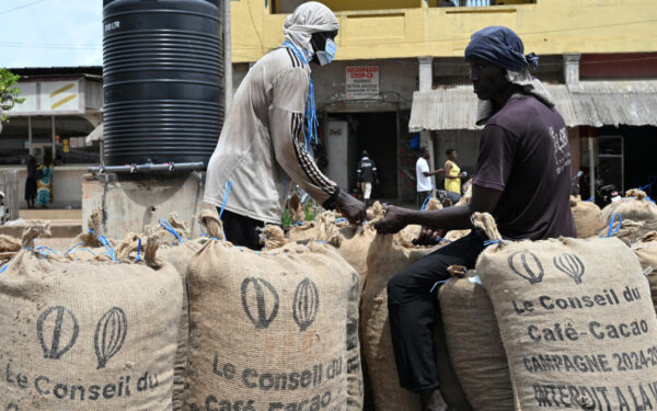 Cacao en Côte d&rsquo;Ivoire : le Conseil café-cacao ferme le robinet, le secteur crie à l&rsquo;opacité