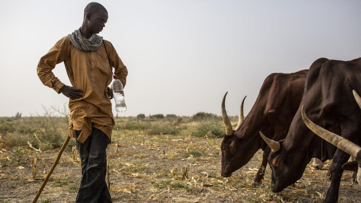 Cameroun : l&rsquo;est du pays craint une récolte menacée par le retard des pluies
