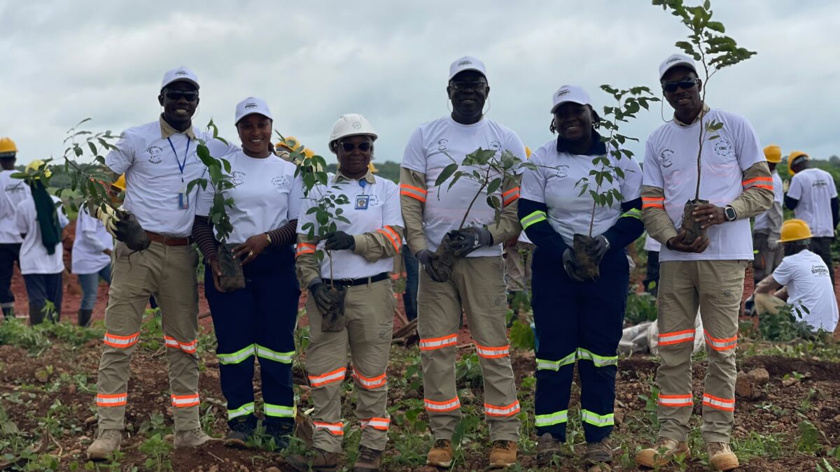 CBG à Sangarédi : comment une mine de bauxite se transforme en acteur de la reforestation