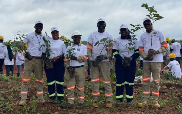 CBG à Sangarédi : comment une mine de bauxite se transforme en acteur de la reforestation