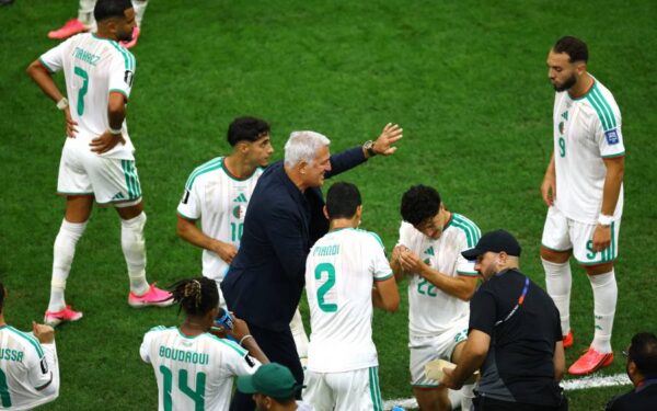 Algérie : la FAF face aux défis du recrutement de son nouvel entraîneur