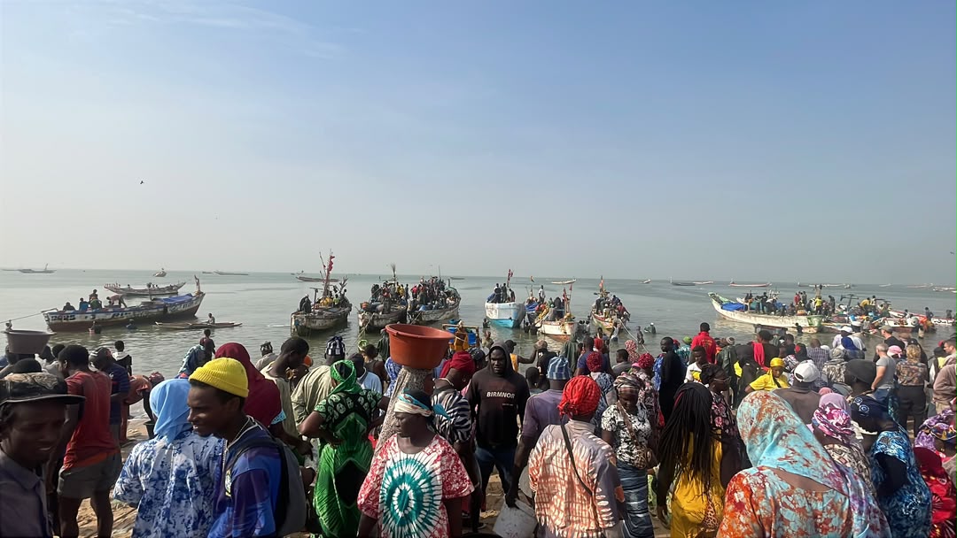 Accord de l’OMC sur la pêche : Les acteurs africains cherchent l’union sacrée