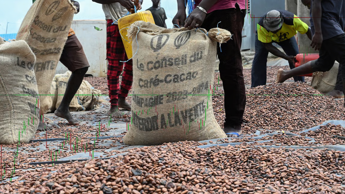 Le cacao africain reprend la main : quatre géants scellent une alliance pour contrôler la chaîne de valeur