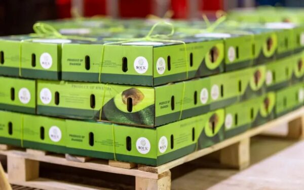 Exporter des fruits et légumes africains en Europe : le vrai prix de l’accès aux grandes surfaces