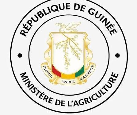 Avis à manifestation d’intérêt pour le recrutement de personnel complémentaire pour l’Unité de Gestion du Projet (UGP) et les Unités d’Exécution du Projet (UEP) du PDRI-RHFG Phase 2