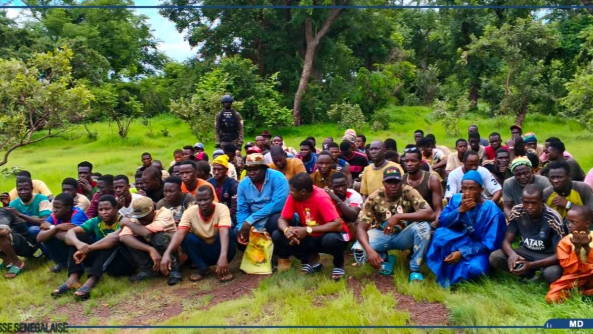 Orpaillage clandestin en Afrique de l&rsquo;Ouest : le Sénégal durcit la répression, la Guinée face à ses défis