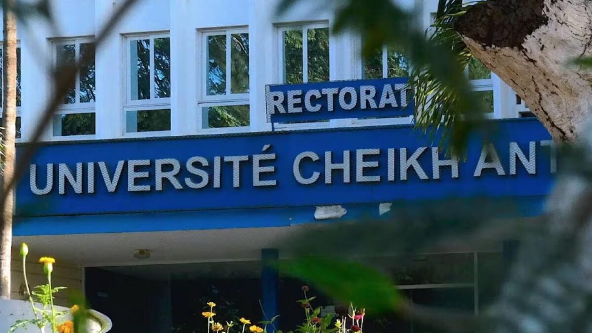 L&rsquo;UCAD décroche 91,8 % de réussite au CAMES : le modèle universitaire sénégalais inspire l&rsquo;Afrique