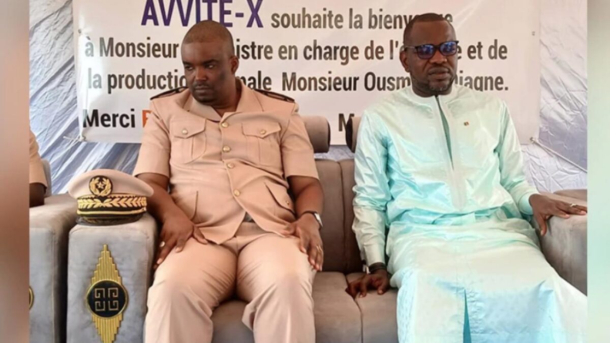 Taïba-Ndiaye : quand le Sénégal bâtit sa souveraineté avicole