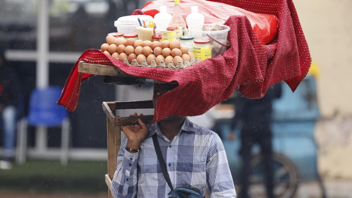 Aviculture au Cameroun : la filière appelle à la sérénité