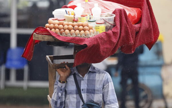 Aviculture au Cameroun : la filière appelle à la sérénité