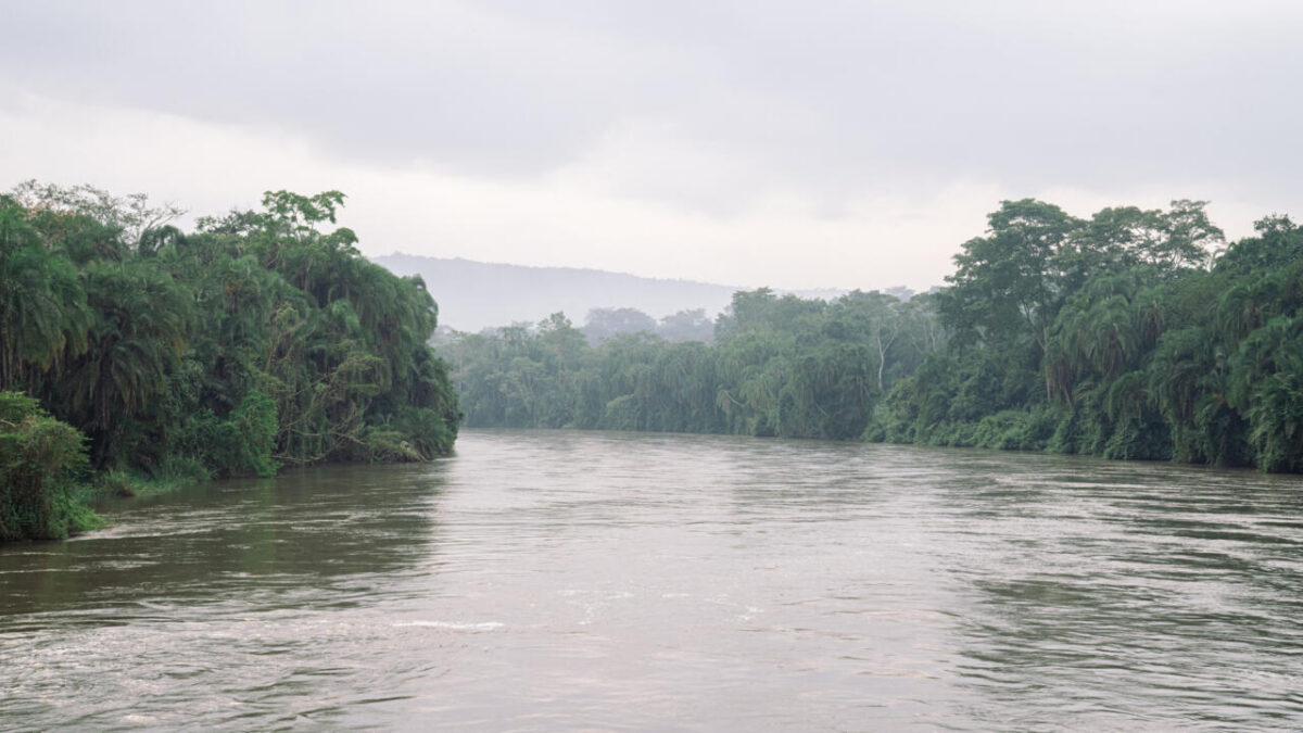 RDC : Le projet de couloir vert Kivu-Kinshasa face à ses défis