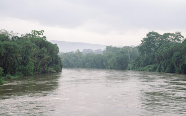 RDC : Le projet de couloir vert Kivu-Kinshasa face à ses défis
