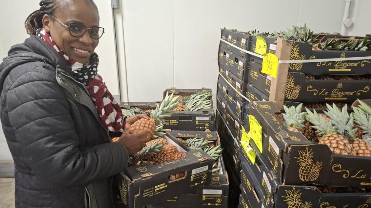 L’ananas pain de sucre du Bénin conquiert les marchés mondiaux