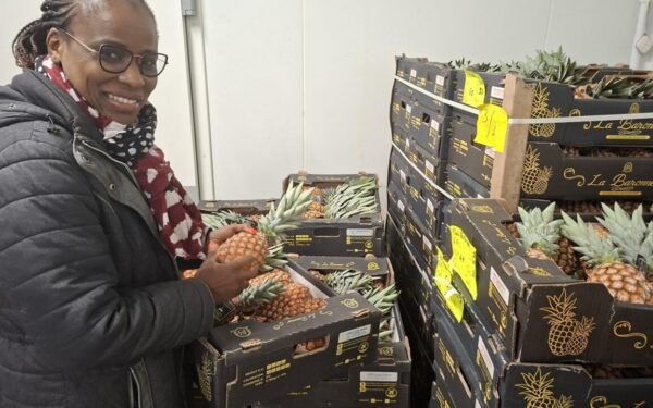 L’ananas pain de sucre du Bénin conquiert les marchés mondiaux