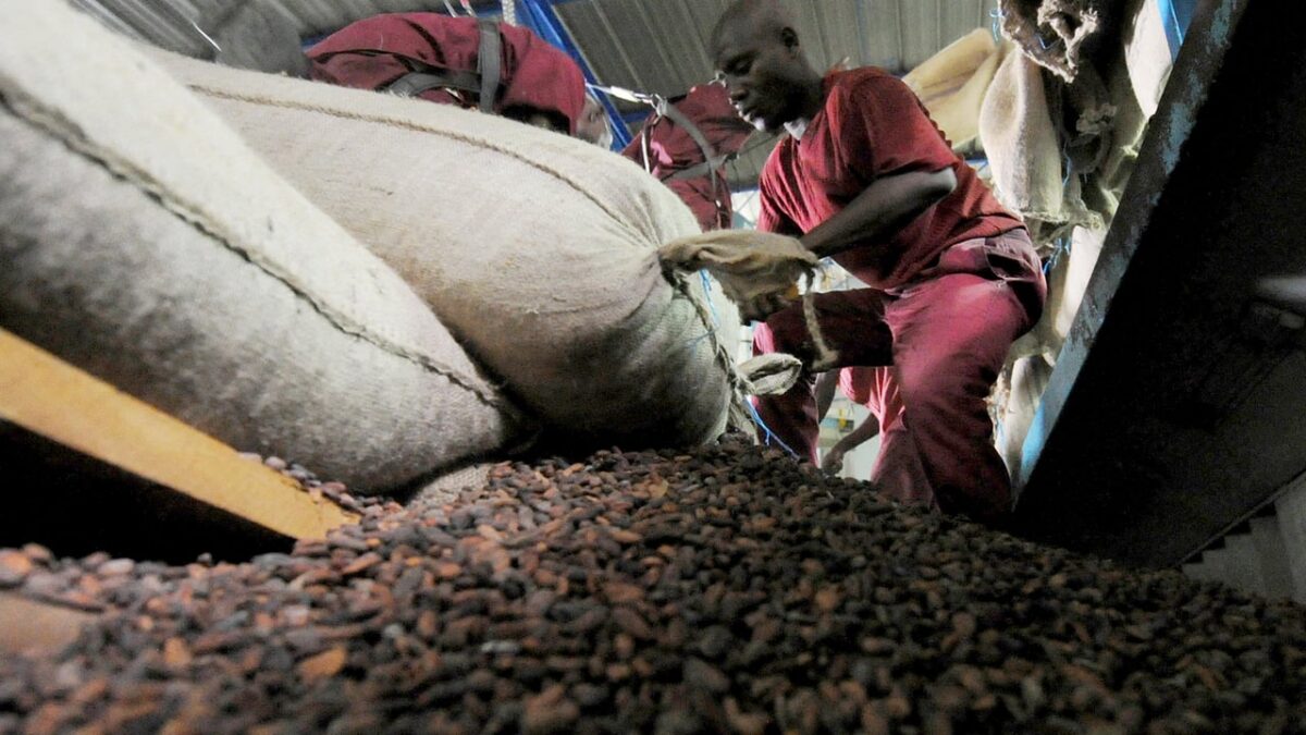 Cacao : Côte d’Ivoire et Ghana face aux défis de la traçabilité