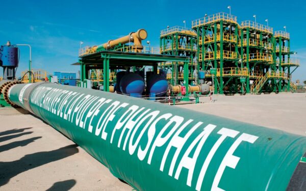 Hydrogène vert au Maghreb : l&rsquo;état des lieux d&rsquo;une ambition industrielle